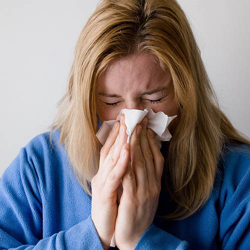 Vue interieure de la Pharmacie des Plantes